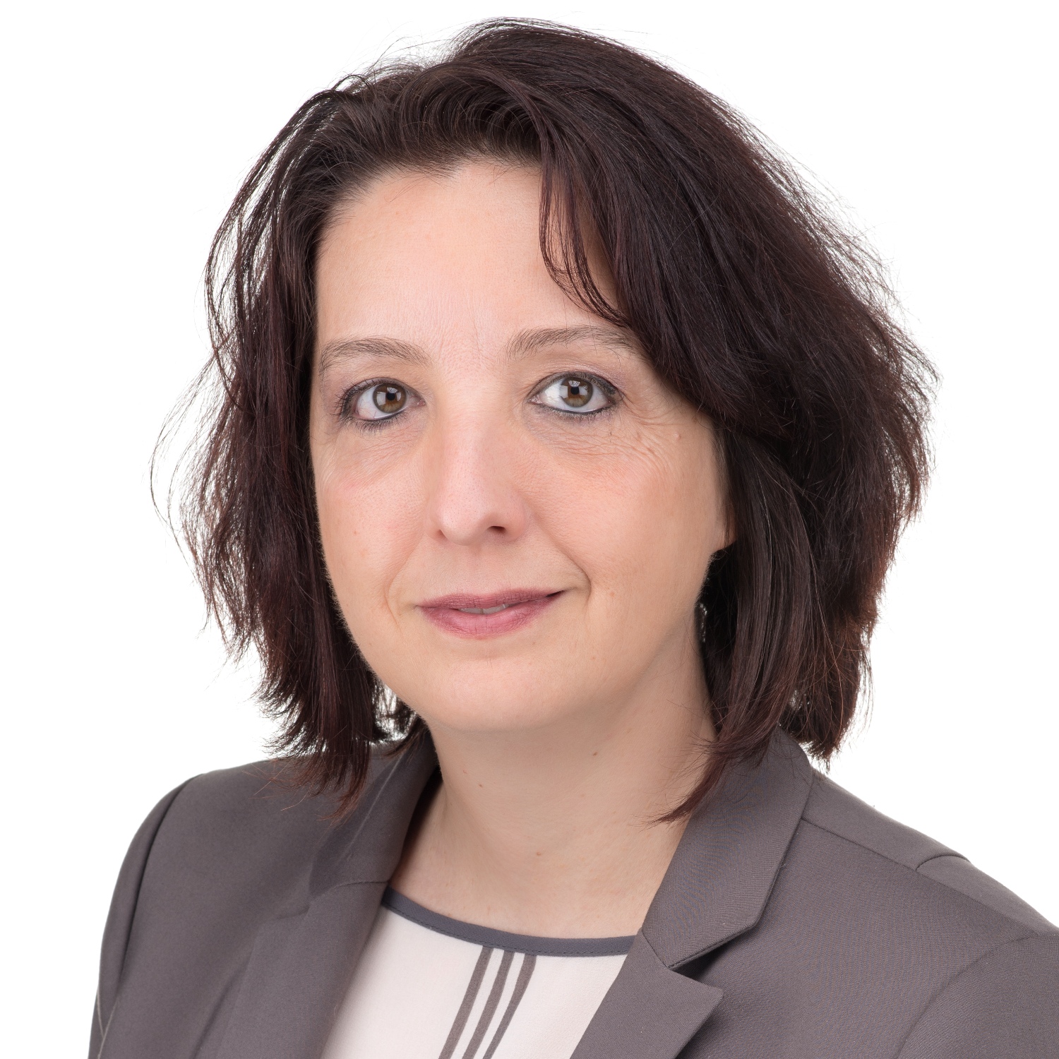 ann-willems-nsf-international