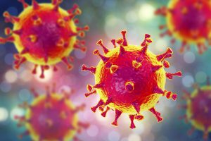 corona virus
