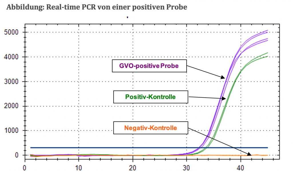 bbildung: Real-time PCR von einer positiven Probe