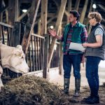 Farmer and inspector with clipboard while looking at his cows - NSF Reveals 72% of Brits Demand Animal Wellness Compliance From Food Companies