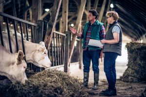 Farmer and inspector with clipboard while looking at his cows - NSF Reveals 72% of Brits Demand Animal Wellness Compliance From Food Companies