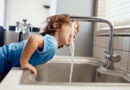 NSF Named Certified Body by UBA, Strengthening its Position in European Water Product Certification